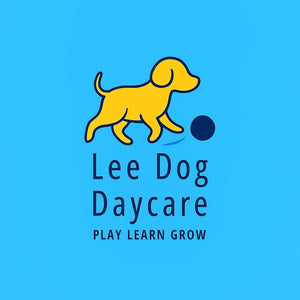 Dog & Puppy Day Care First Assessment - Lee Dog Training