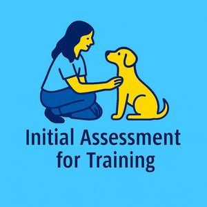 Initial Dog Training Assessment Cork (30 minutes) - Lee Dog Training